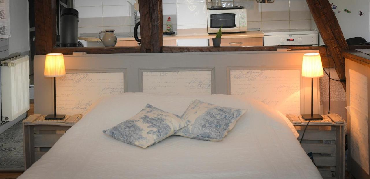 Le Duplex Apartamento Colmar Exterior foto